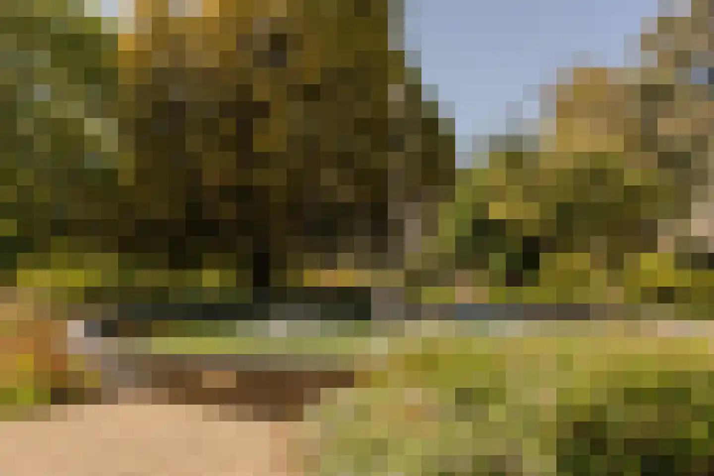 Plantsoen 79 Leiden thumbnail 18