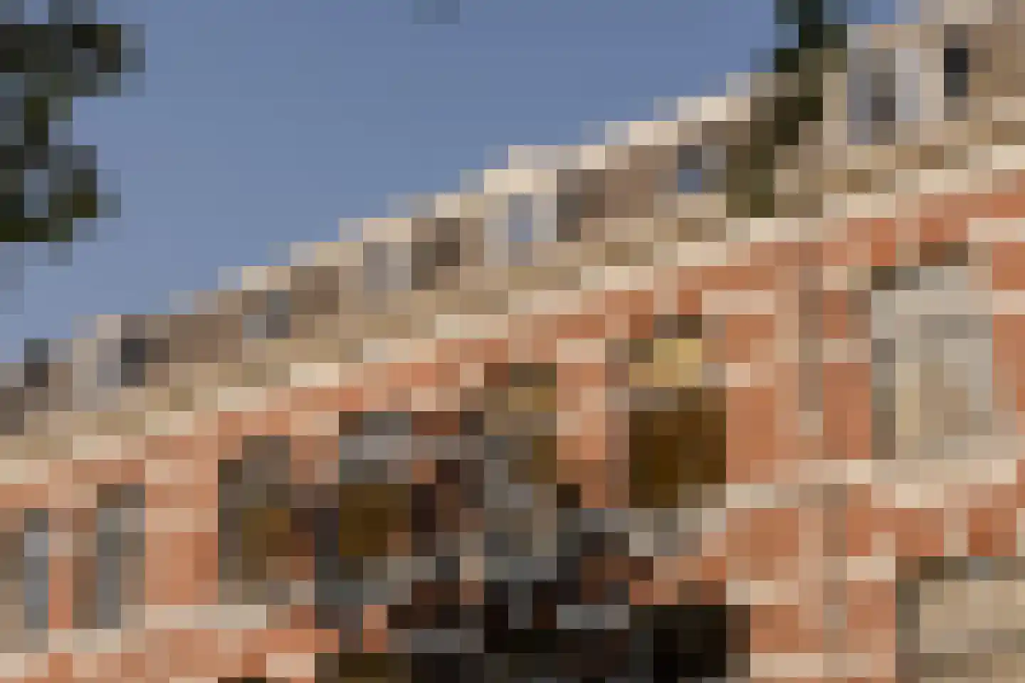 Plantsoen 79 Leiden thumbnail 21