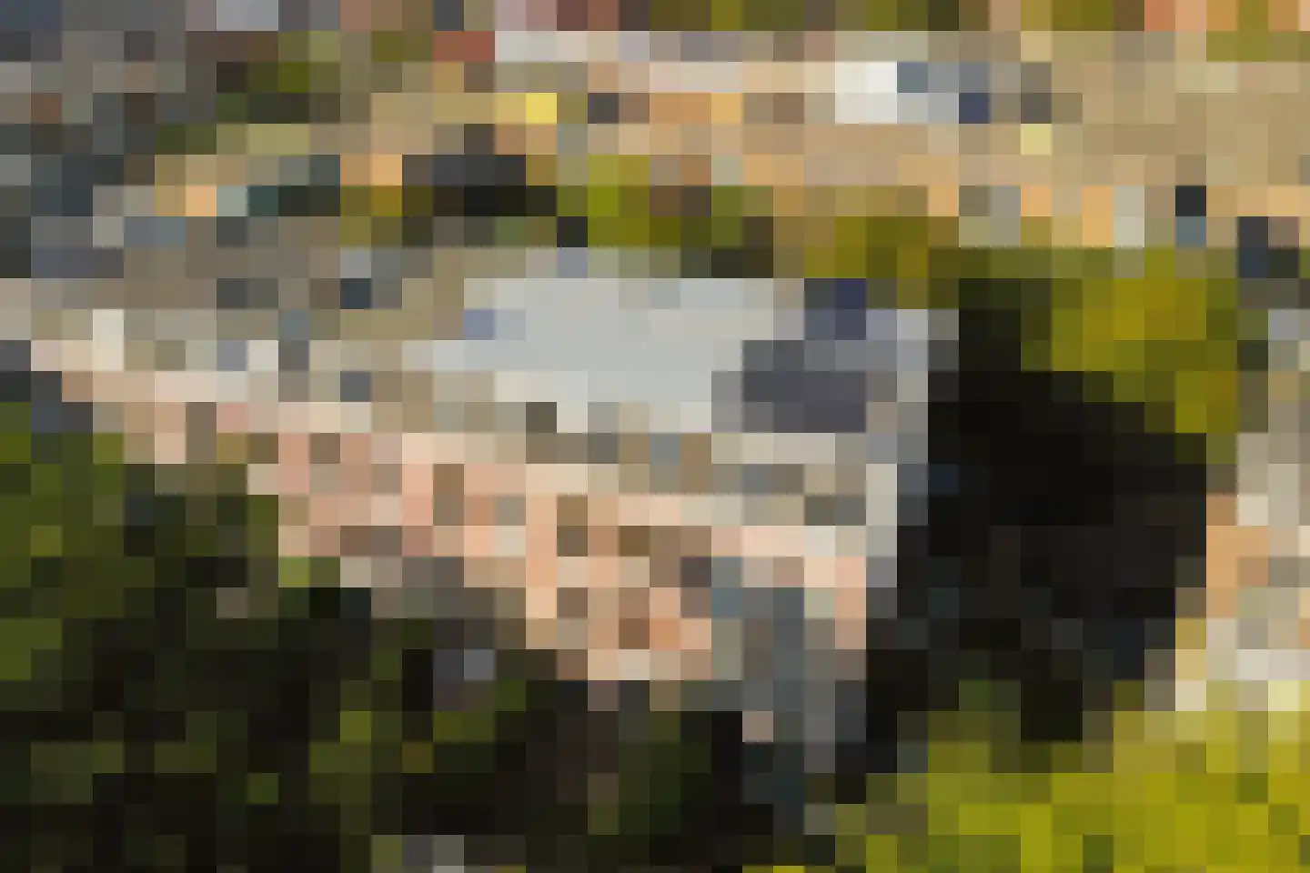 Plantsoen 79 Leiden thumbnail 22
