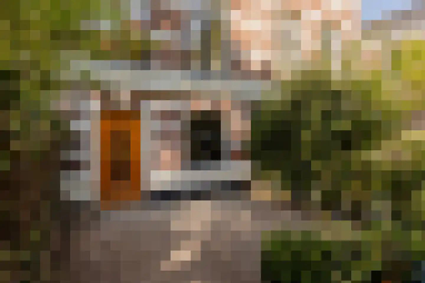 Plantsoen 79 Leiden thumbnail 4