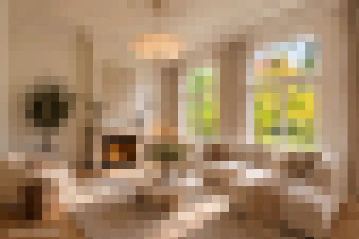 Plantsoen 79 Leiden thumbnail 7