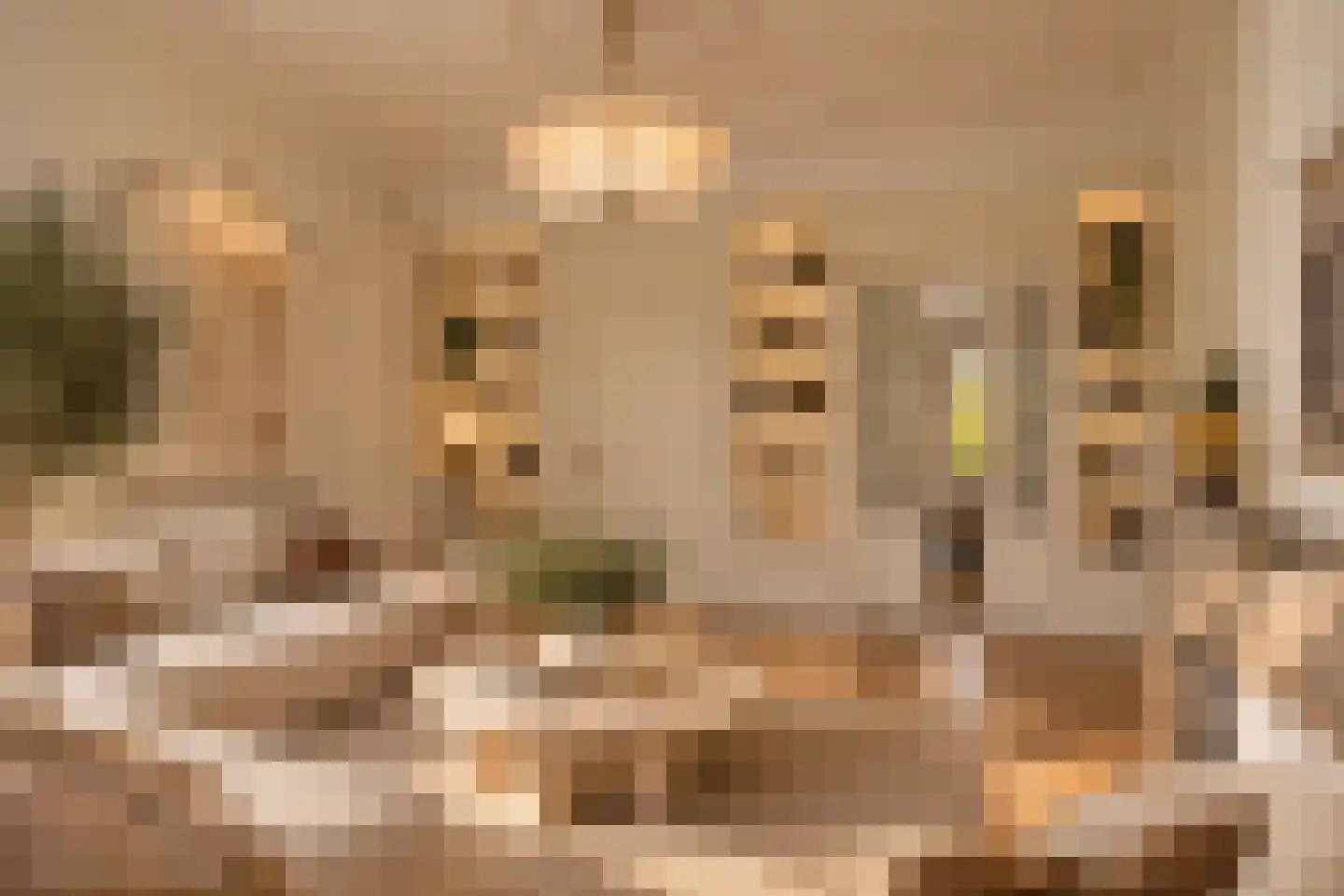 Plantsoen 79 Leiden thumbnail 9
