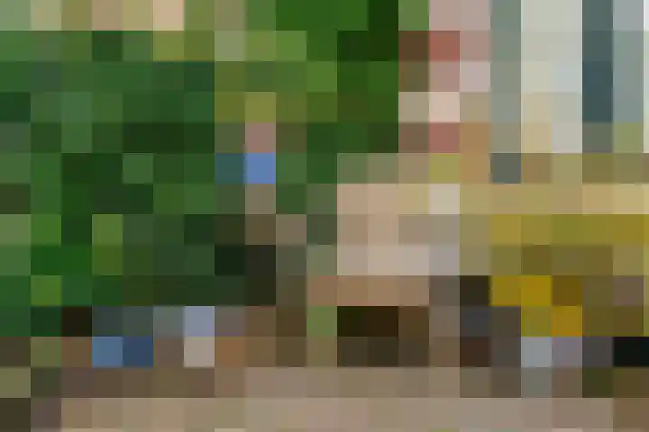Plantsoen 83 Leiden thumbnail 32