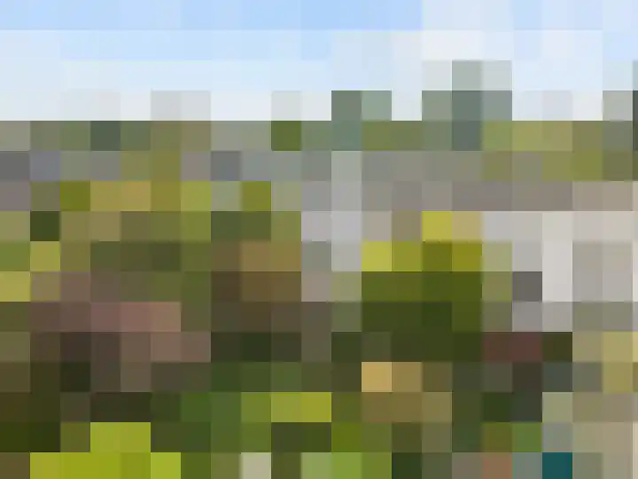 Plantsoen 83 Leiden thumbnail 33