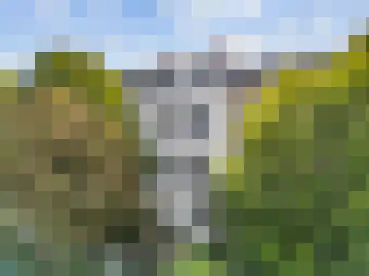 Plantsoen 83 Leiden thumbnail 34