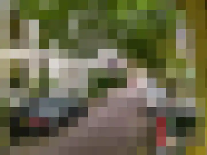Plantsoen 83 Leiden thumbnail 35