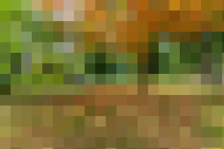 Plantsoen 83 Leiden thumbnail 37