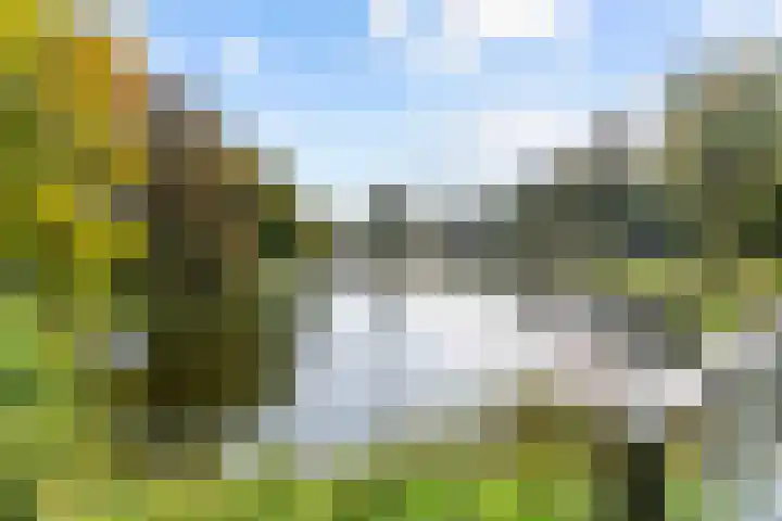 Plantsoen 83 Leiden thumbnail 38