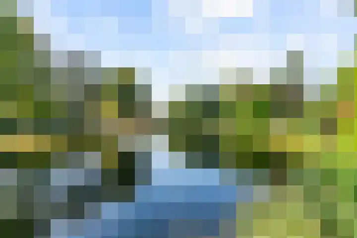 Plantsoen 83 Leiden thumbnail 39