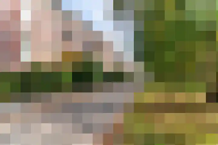 Plantsoen 83 Leiden thumbnail 4