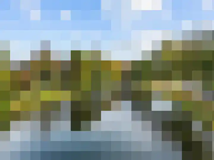 Plantsoen 83 Leiden thumbnail 41