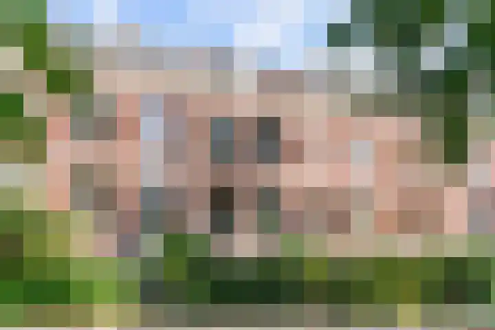 Plantsoen 83 Leiden thumbnail 5