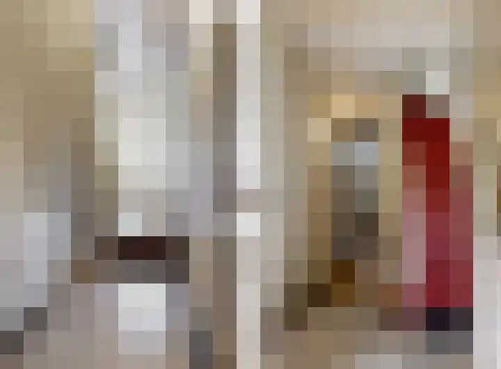 Plantsoen 83 Leiden thumbnail 7
