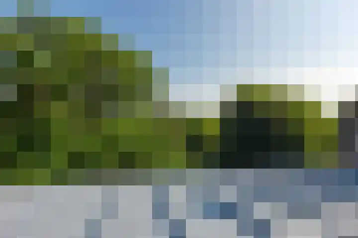 Plantsoen 97 Leiden thumbnail 57