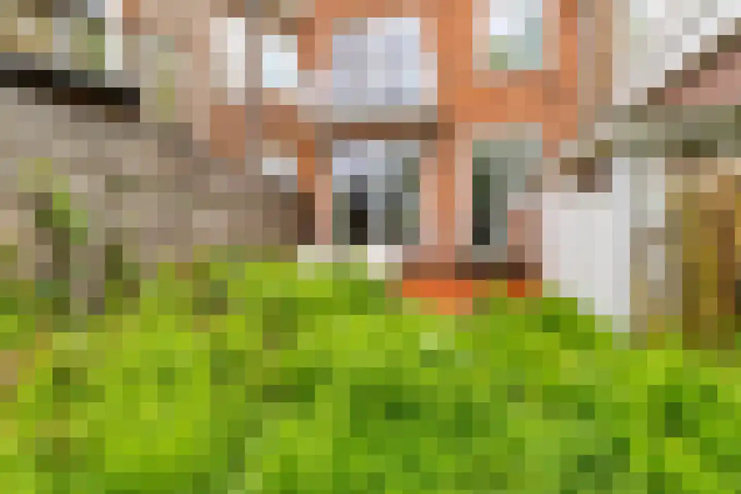 Plantsoen Laanhorn 10 Amstelveen thumbnail 17