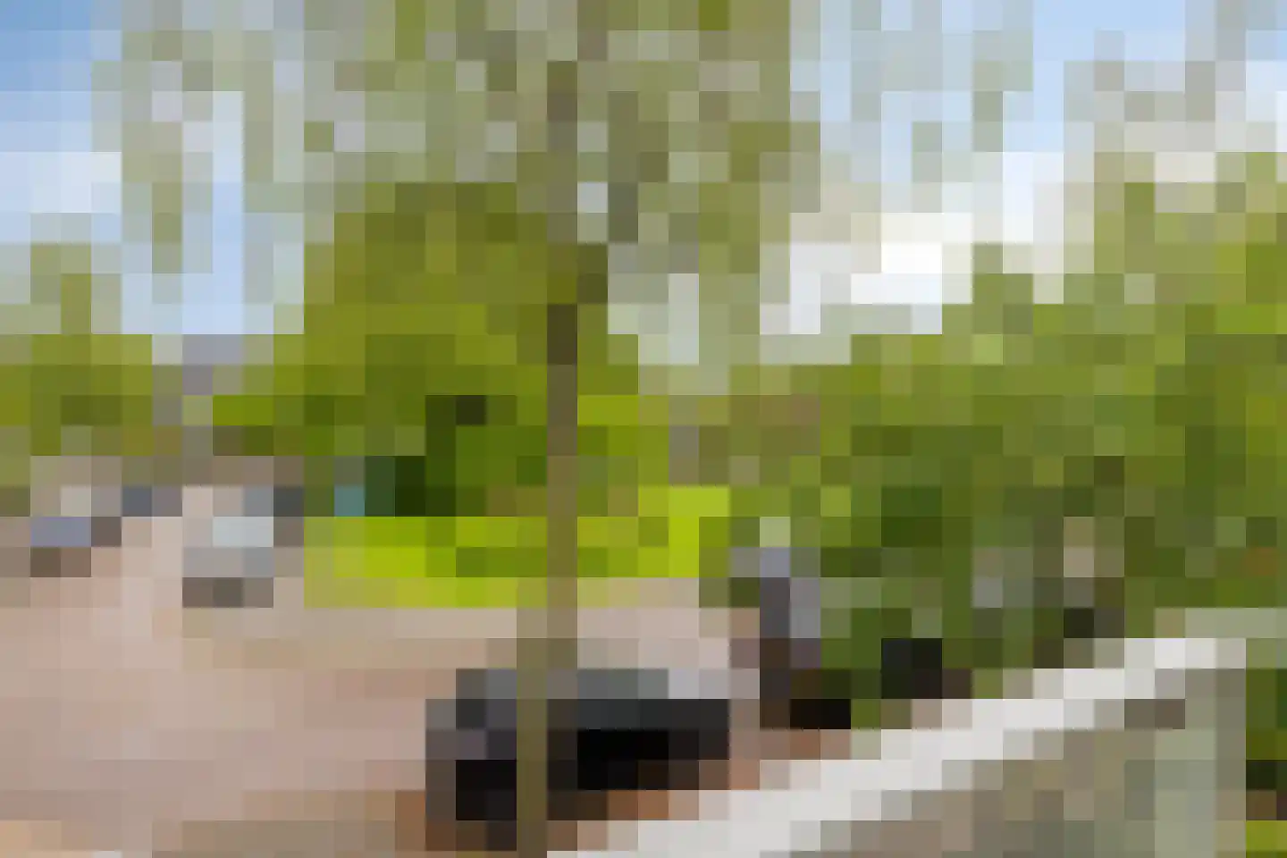 Plantsoen Laanhorn 10 Amstelveen thumbnail 35