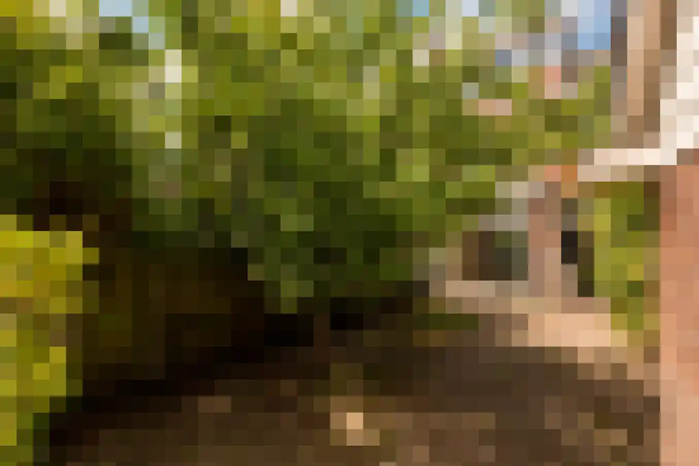 Plantsoen Laanhorn 16 Amstelveen thumbnail 16