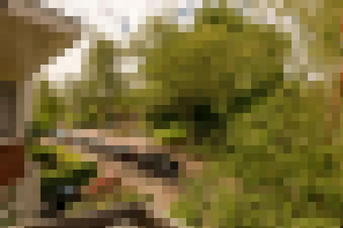 Plantsoen Laanhorn 16 Amstelveen thumbnail 23