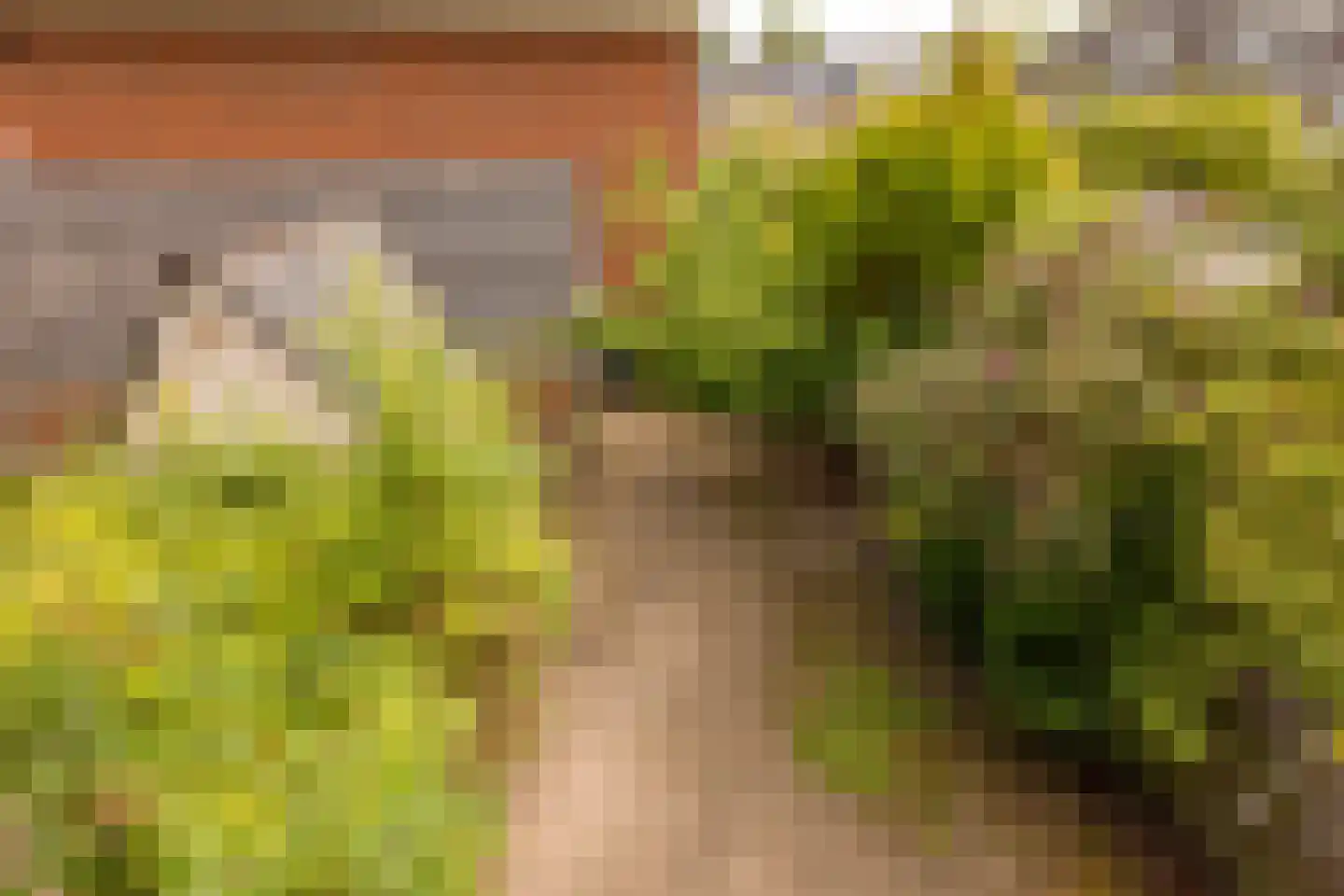 Plantsoen Laanhorn 16 Amstelveen thumbnail 27