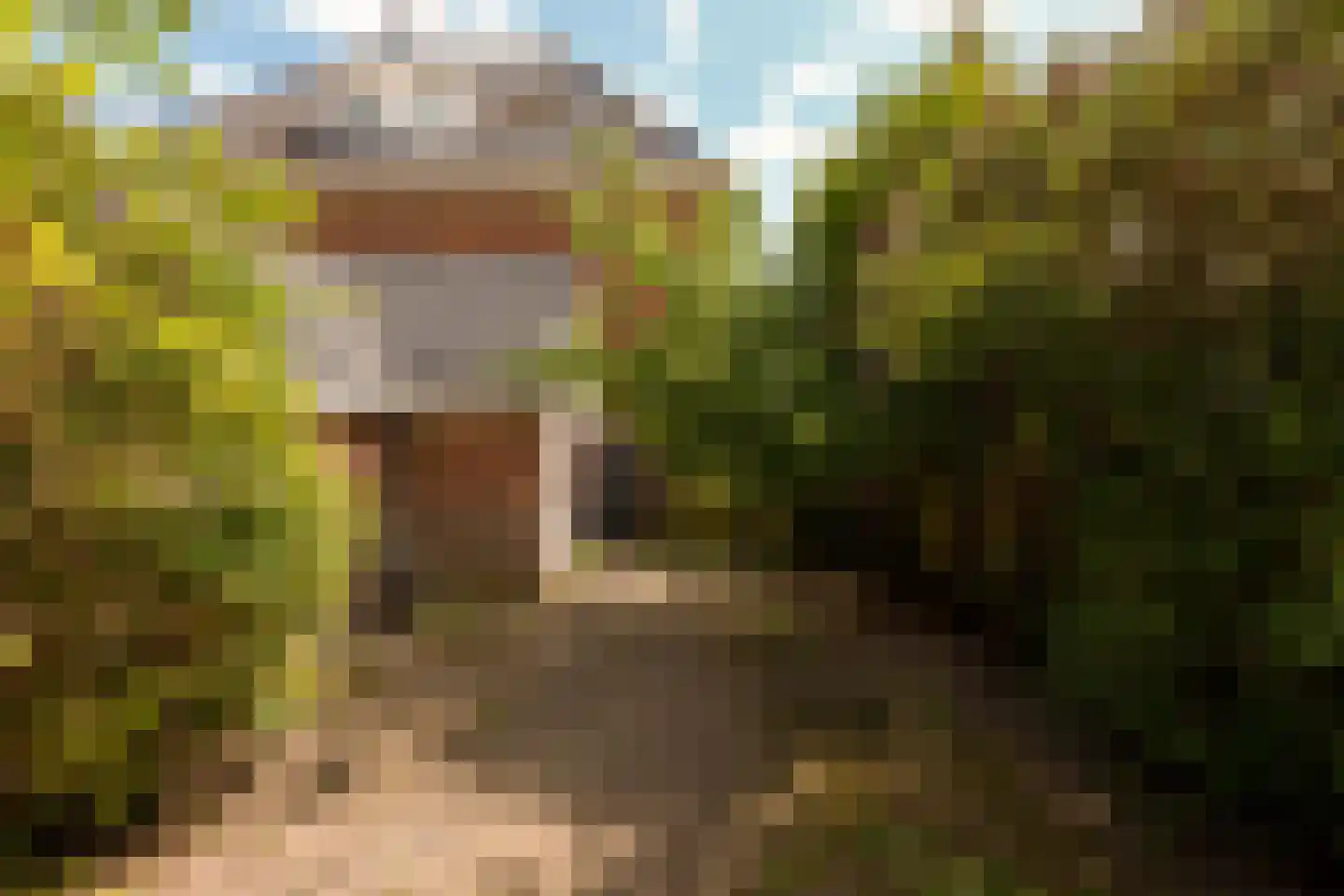 Plantsoen Laanhorn 16 Amstelveen thumbnail 6