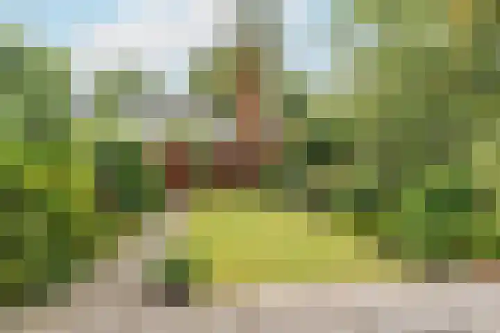 Plantsoen Laanhorn 7 Amstelveen thumbnail 12
