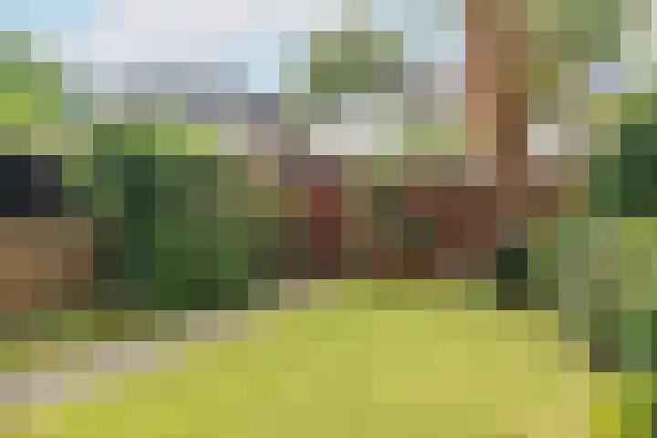 Plantsoen Laanhorn 7 Amstelveen thumbnail 13