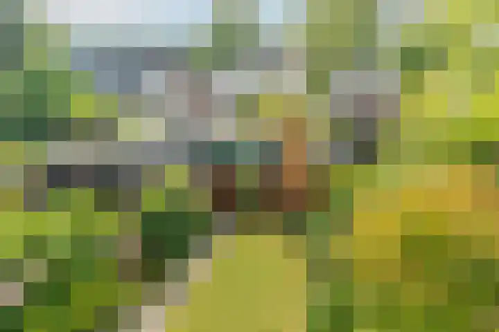 Plantsoen Laanhorn 7 Amstelveen thumbnail 21