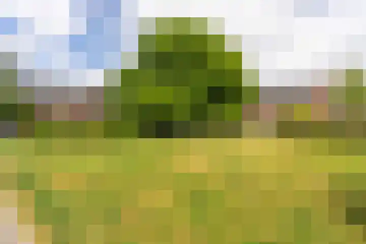 Plantsoen Laanhorn 7 Amstelveen thumbnail 35