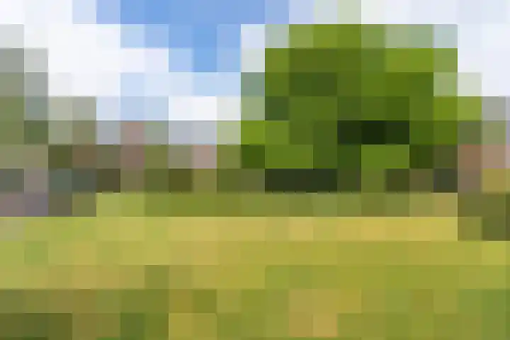 Plantsoen Laanhorn 7 Amstelveen thumbnail 36