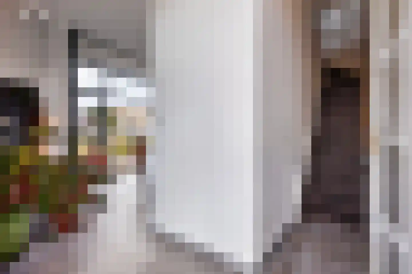 Plantsoen van Boedapest 1 Utrecht thumbnail 18