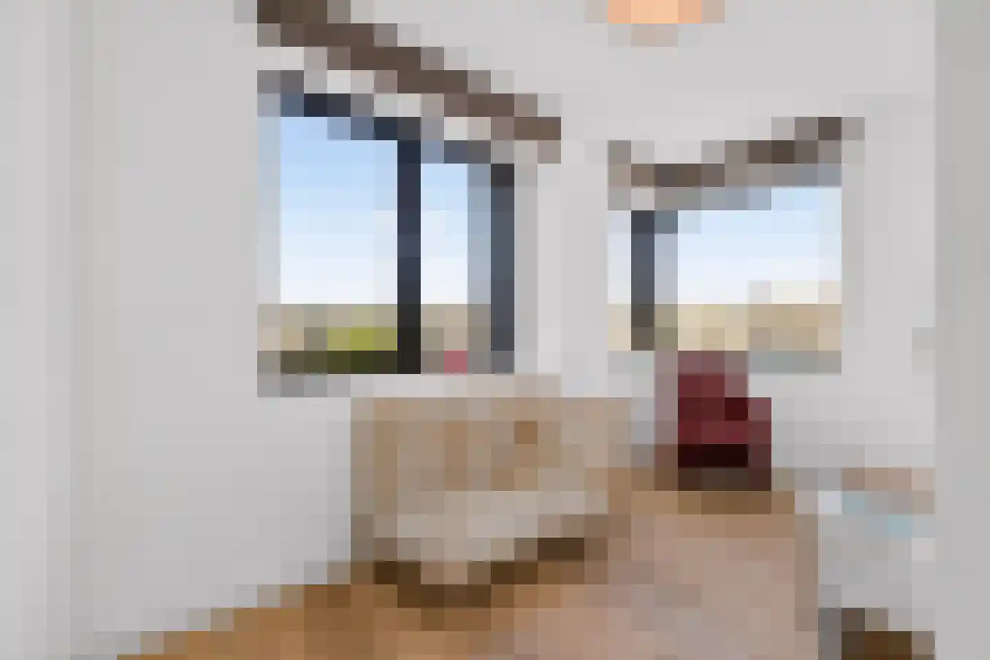 Plantsoen van Boedapest 1 Utrecht thumbnail 31