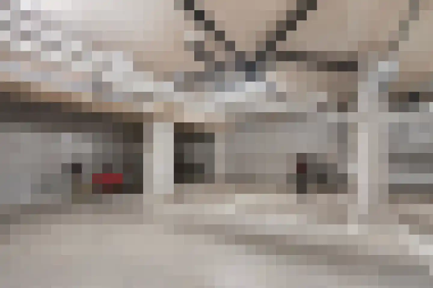 Plantsoen van Boedapest 1 Utrecht thumbnail 38