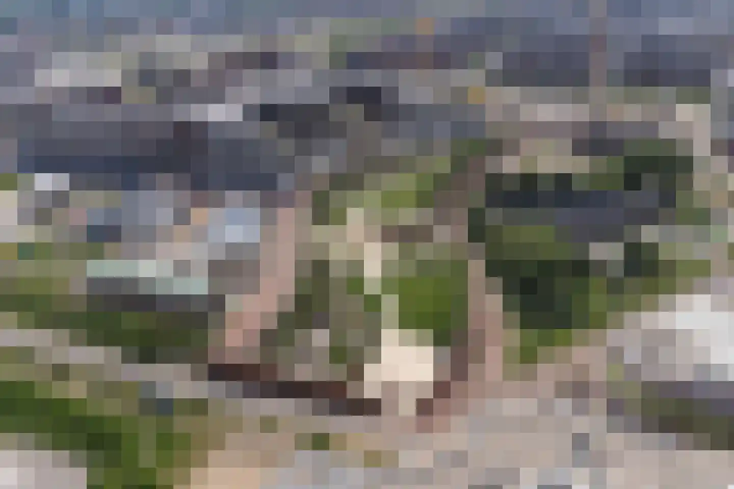 Plantsoen van Boedapest 1 Utrecht thumbnail 40