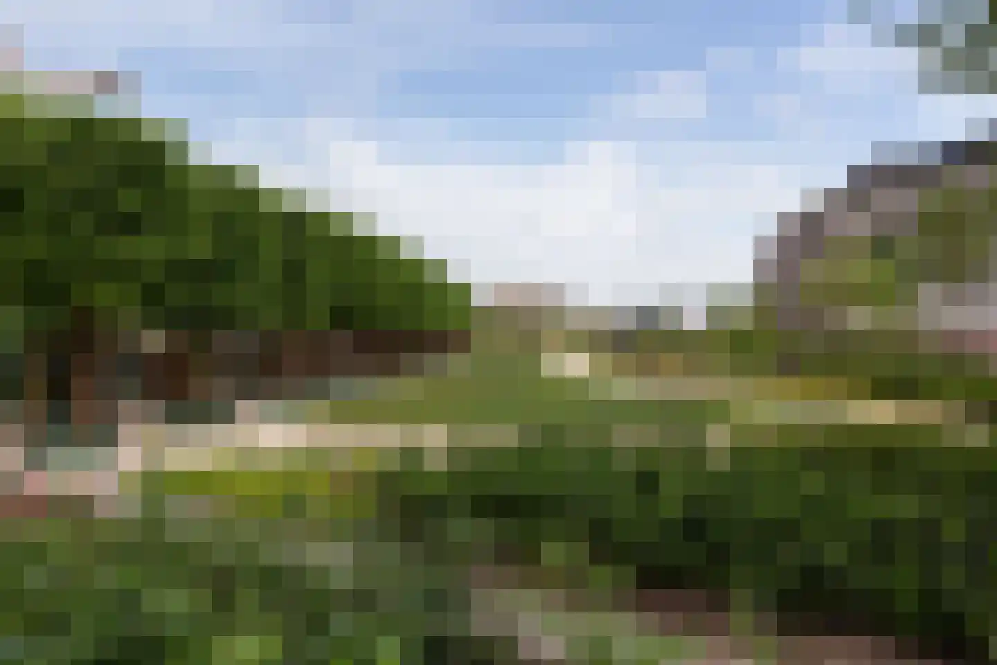 Plantsoen van Boedapest 1 Utrecht thumbnail 41