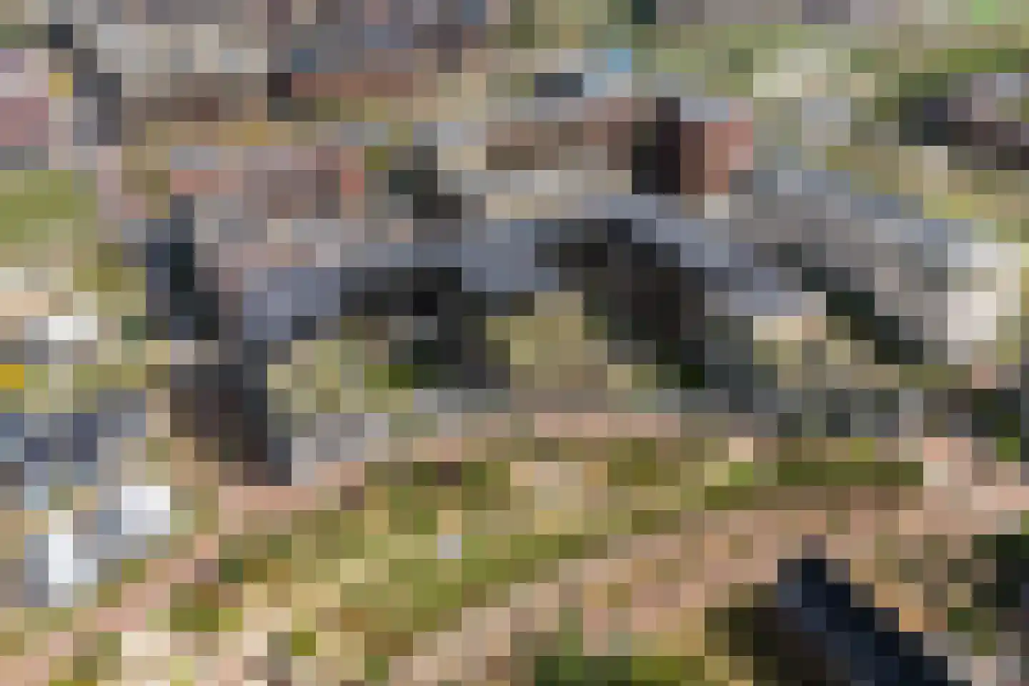 Plantsoen van Boedapest 1 Utrecht thumbnail 48
