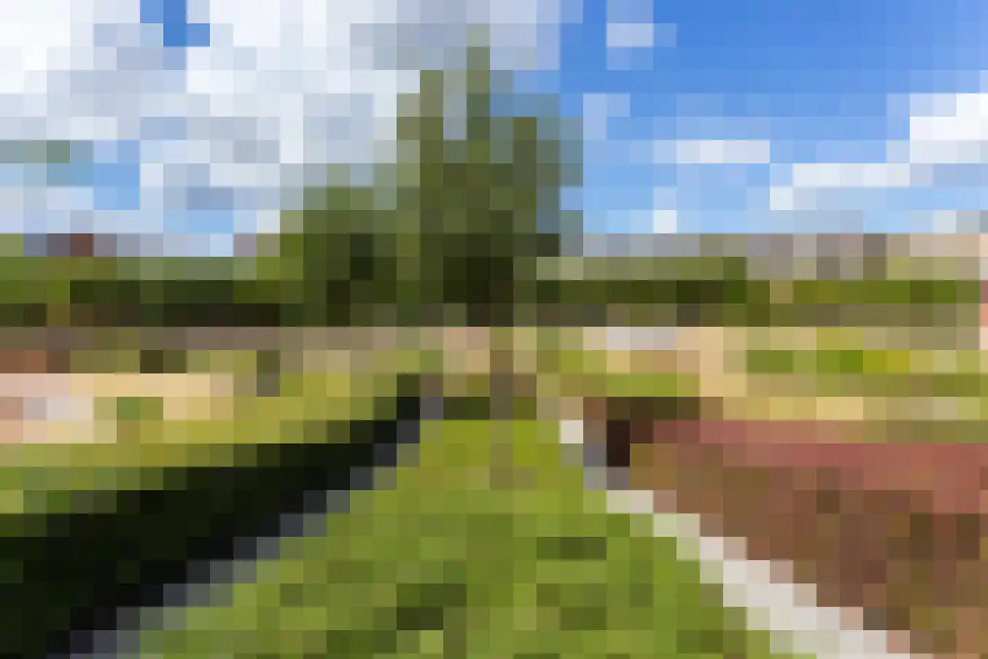 Plantsoen van Boedapest 1 Utrecht thumbnail 52