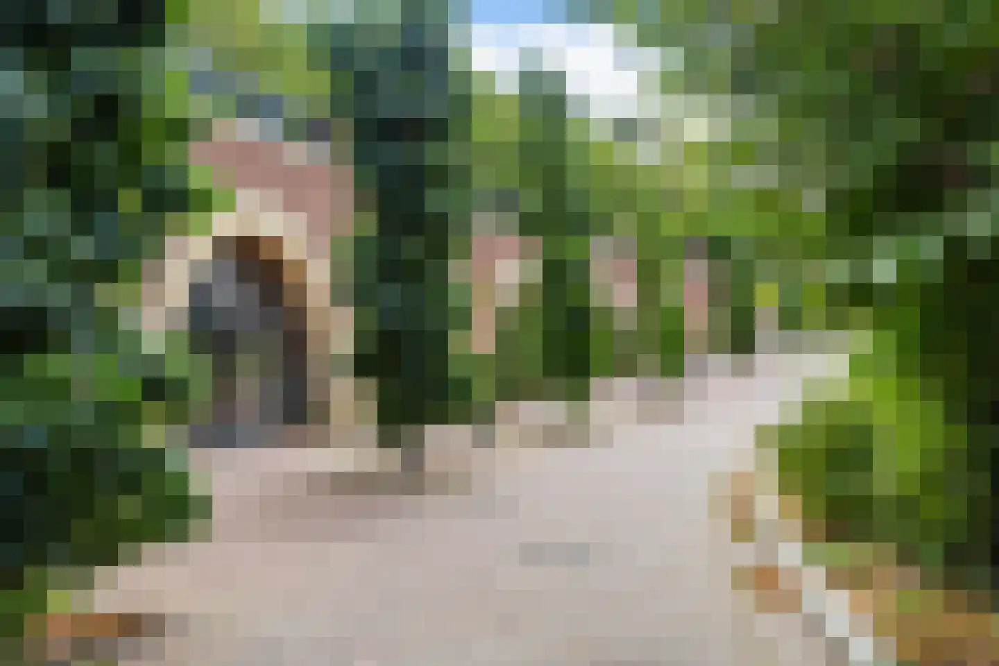 Plantsoen van Boedapest 1 Utrecht thumbnail 54