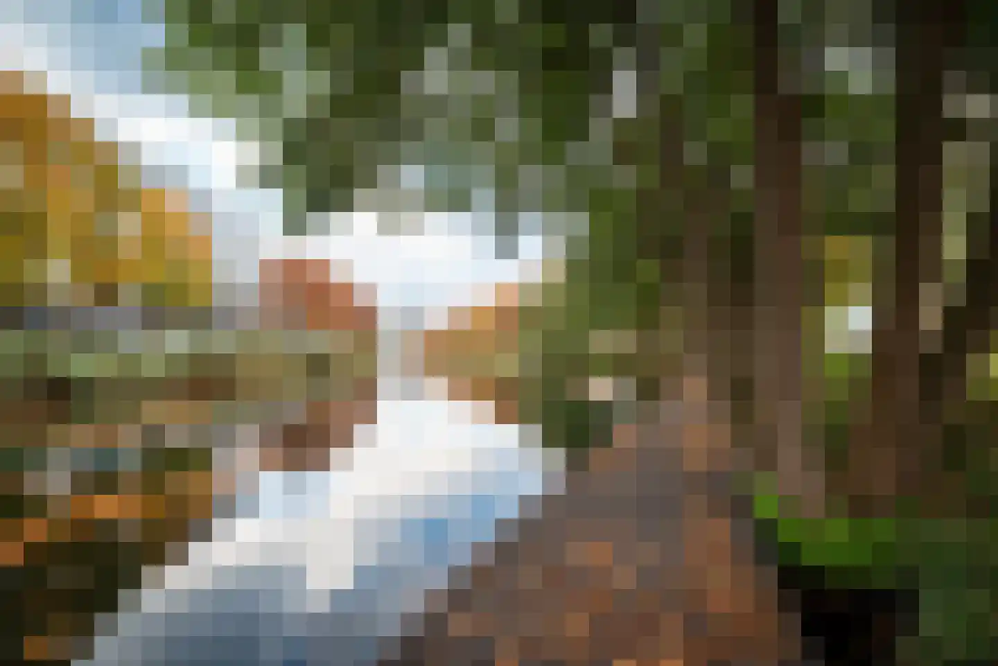 Plantsoen Welgelegen 49 Apeldoorn thumbnail 38