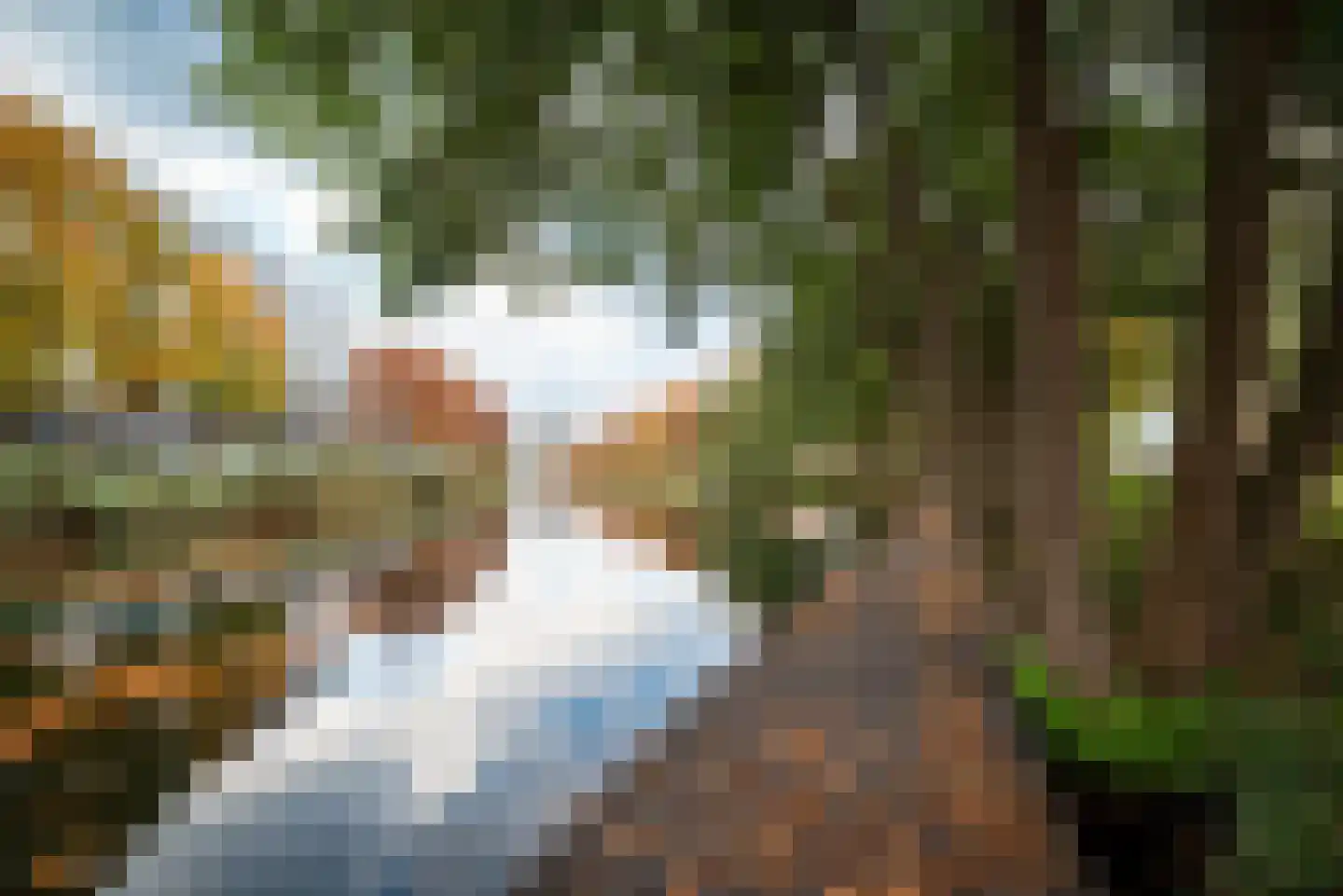 Plantsoen Welgelegen 49 Apeldoorn thumbnail 38