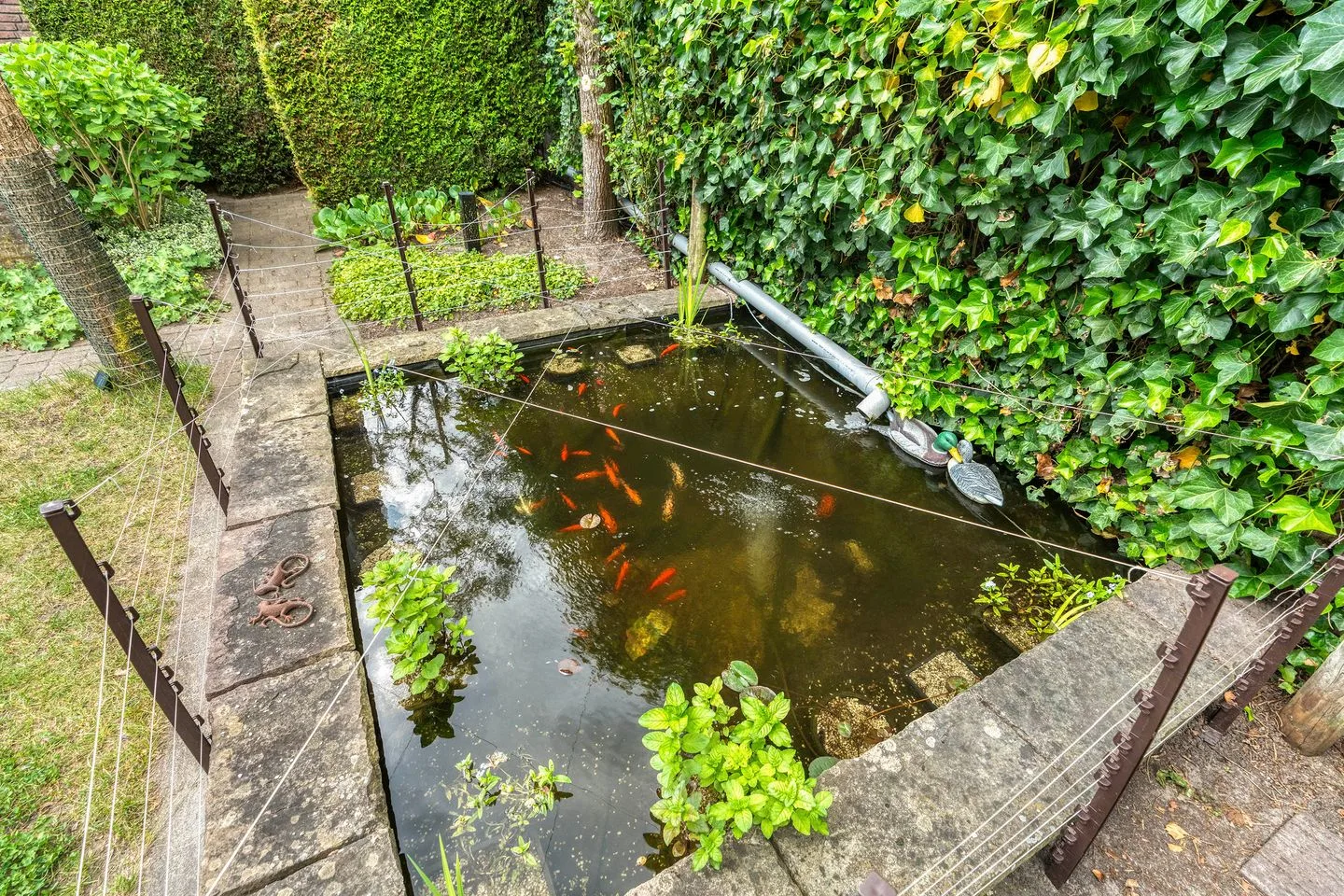 Plantsoen Welgelegen 50 Apeldoorn thumbnail 44