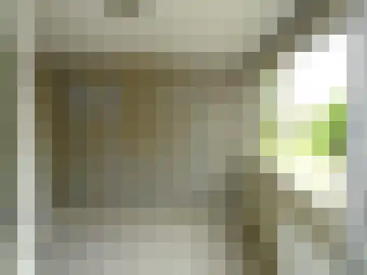 Plantsoendwarsstraat 11 Lutjewinkel thumbnail 11