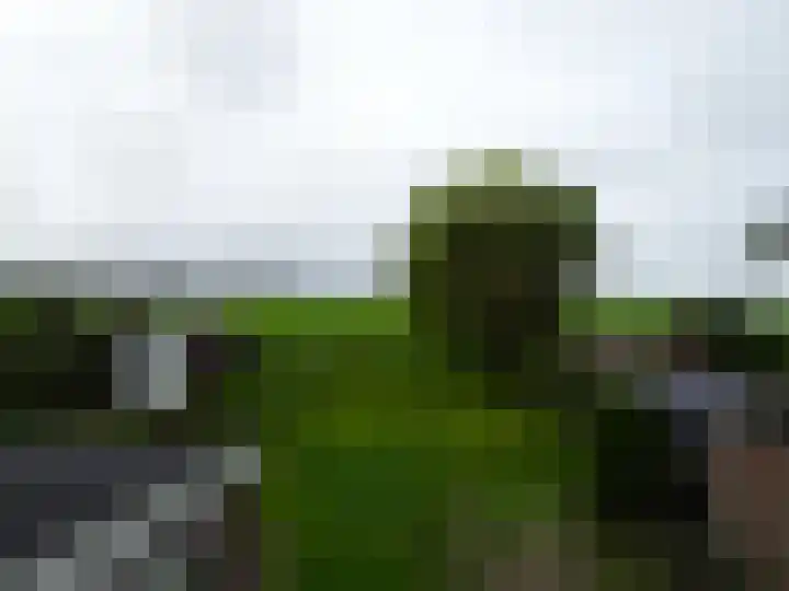 Plantsoendwarsstraat 11 Lutjewinkel thumbnail 19