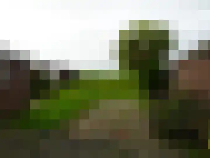 Plantsoendwarsstraat 11 Lutjewinkel thumbnail 5
