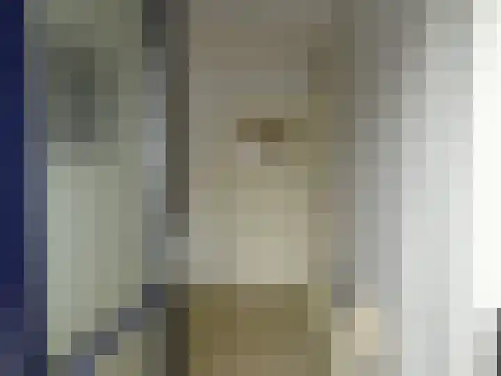 Plantsoendwarsstraat 11 Lutjewinkel thumbnail 6