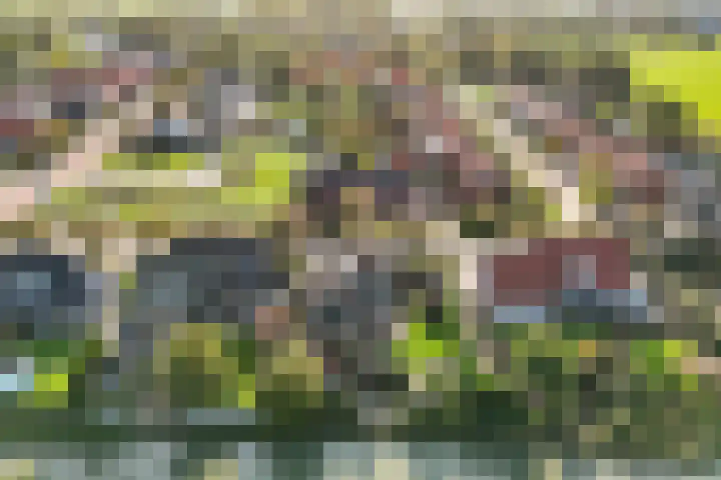 Plantsoendwarsstraat 33 Lutjewinkel thumbnail 30