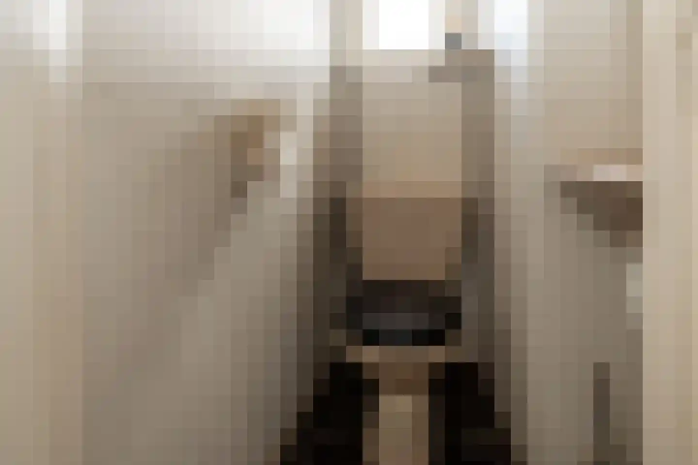 Plantsoenlaan 1 Wildervank thumbnail 13