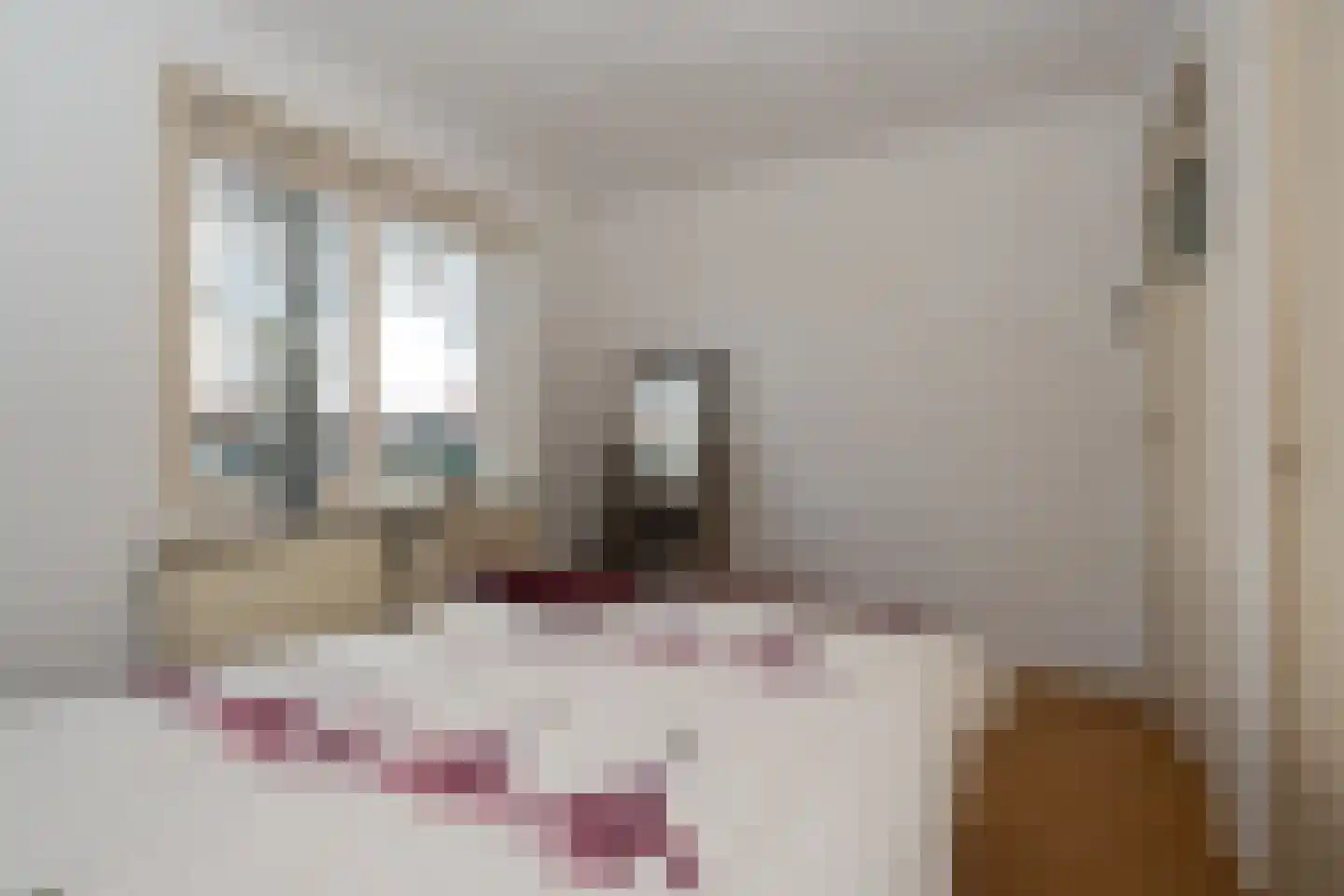 Plantsoenlaan 1 Wildervank thumbnail 17