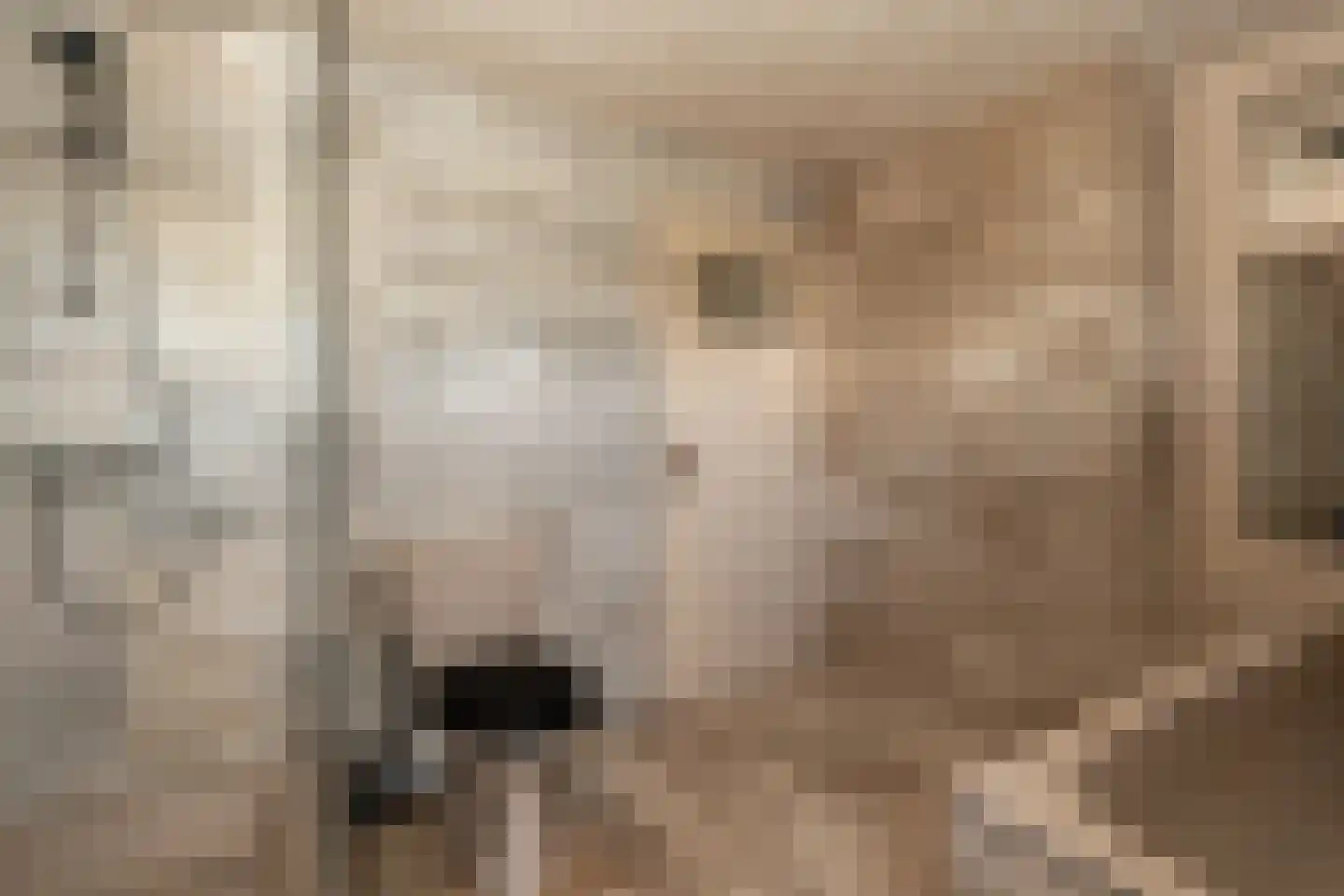 Plantsoenlaan 1 Wildervank thumbnail 28