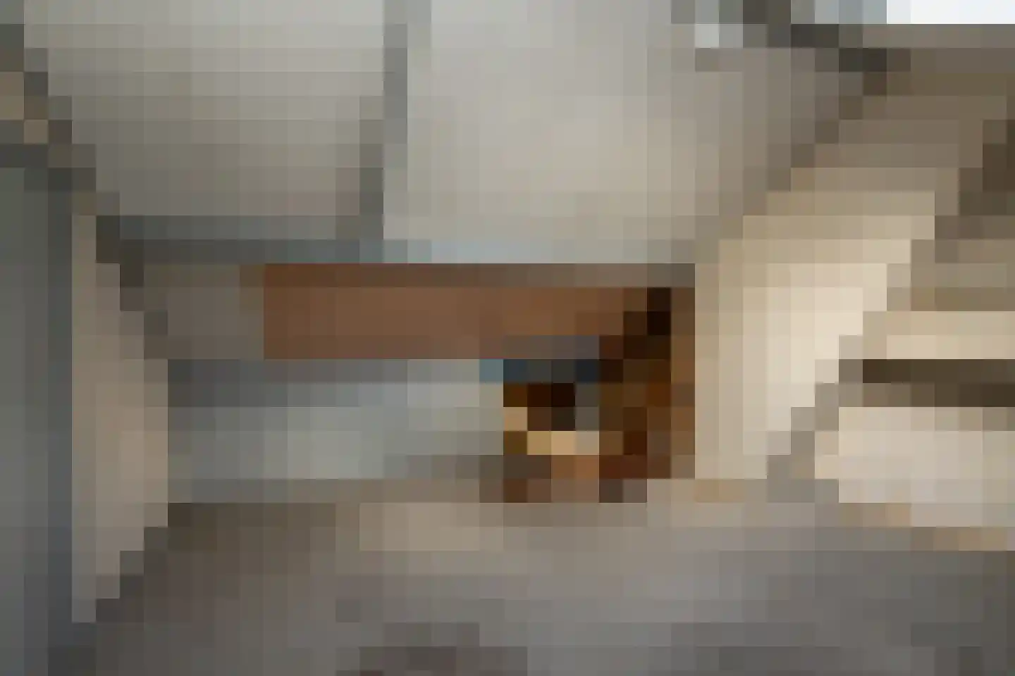 Plantsoenlaan 1 Wildervank thumbnail 30