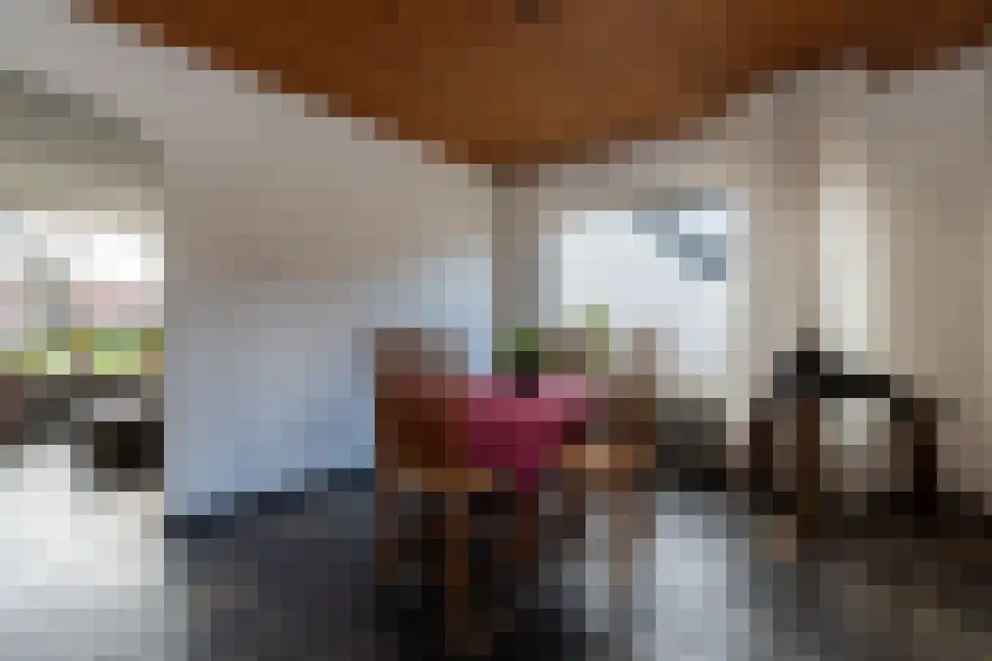 Plantsoenlaan 1 Wildervank thumbnail 6